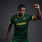Cikers Sports Scale Pulse - Custom Soccer Jersey for Men Sublimation - WS201GCLCMC3